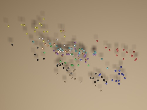 Export Analysis To 3-D Studio #1